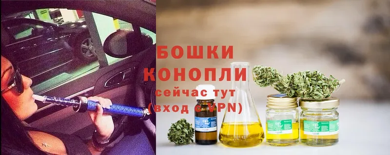 купить наркотик  Кологрив  Конопля THC 21% 